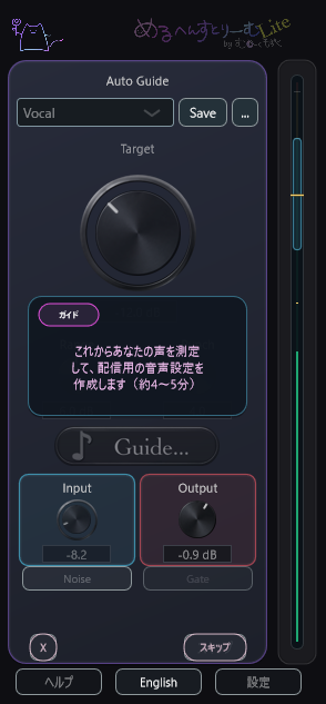 Lite Voice Setup start