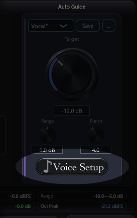 Voice Setup button highlight